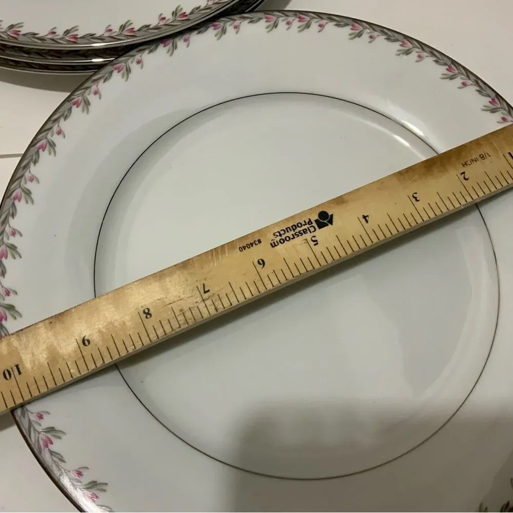 Vintage Noritake Petite #5507 Dinner Plates (4) 10-1/4